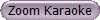 Zoom Karaoke